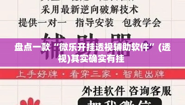 盘点一款“微乐开挂透视辅助软件”(透视)其实确实有挂 