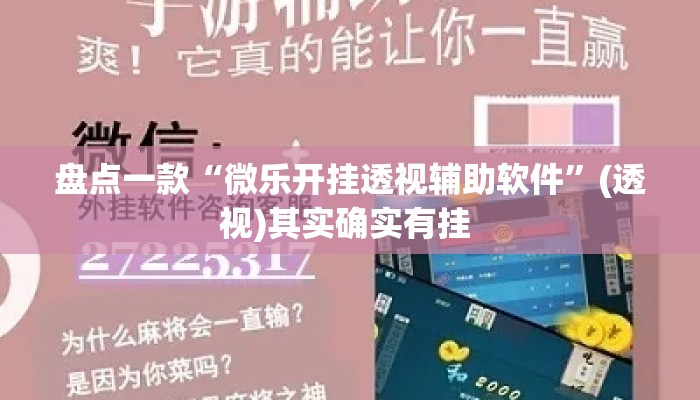 盘点一款“微乐开挂透视辅助软件”(透视)其实确实有挂 