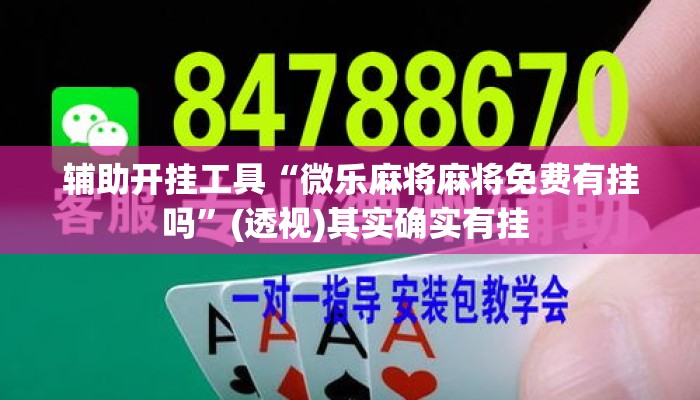辅助开挂工具“微乐麻将麻将免费有挂吗”(透视)其实确实有挂 