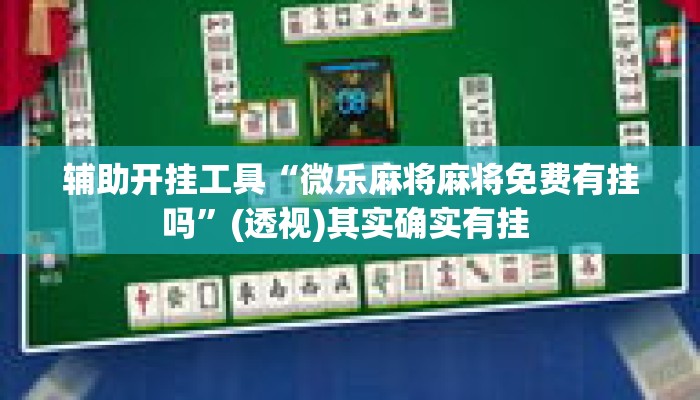 辅助开挂工具“微乐麻将麻将免费有挂吗”(透视)其实确实有挂 