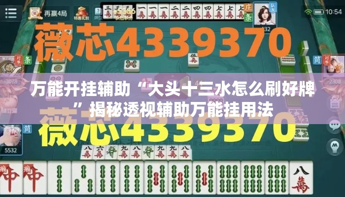 万能开挂辅助“大头十三水怎么刷好牌”揭秘透视辅助万能挂用法