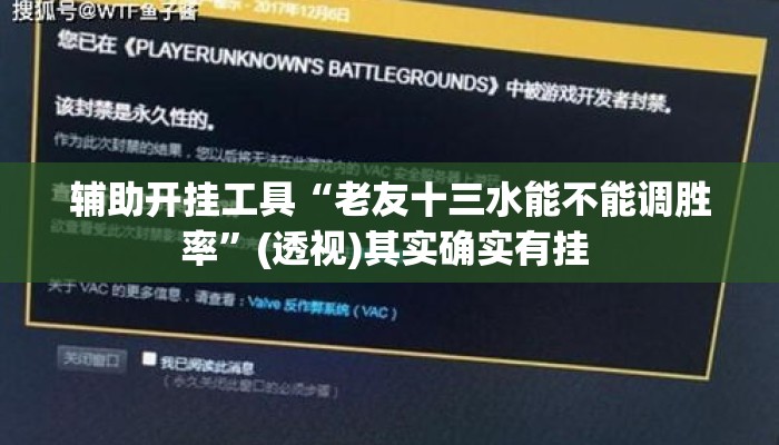 辅助开挂工具“老友十三水能不能调胜率”(透视)其实确实有挂 
