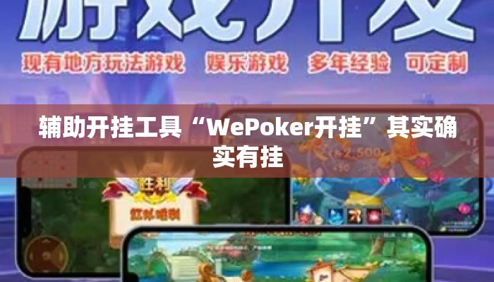 辅助开挂工具“WePoker开挂	”其实确实有挂