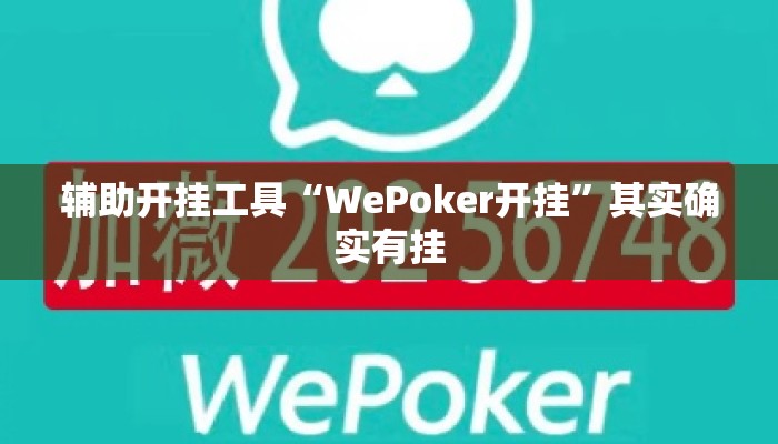 辅助开挂工具“WePoker开挂”其实确实有挂