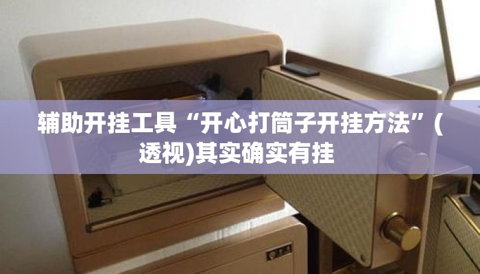 辅助开挂工具“开心打筒子开挂方法	”(透视)其实确实有挂 