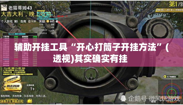 辅助开挂工具“开心打筒子开挂方法”(透视)其实确实有挂 