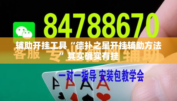 辅助开挂工具“德扑之星开挂辅助方法”其实确实有挂