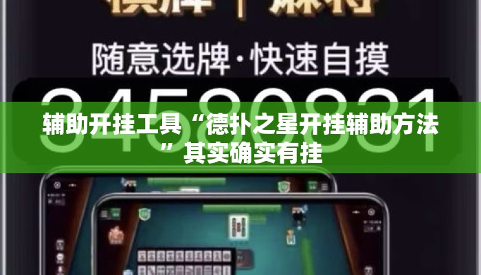 辅助开挂工具“德扑之星开挂辅助方法”其实确实有挂
