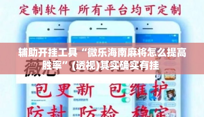 辅助开挂工具“微乐海南麻将怎么提高胜率	”(透视)其实确实有挂 