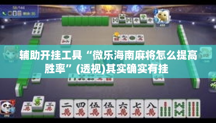 辅助开挂工具“微乐海南麻将怎么提高胜率”(透视)其实确实有挂 