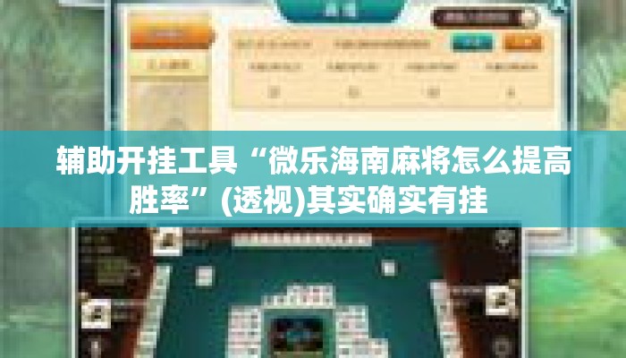 辅助开挂工具“微乐海南麻将怎么提高胜率”(透视)其实确实有挂 