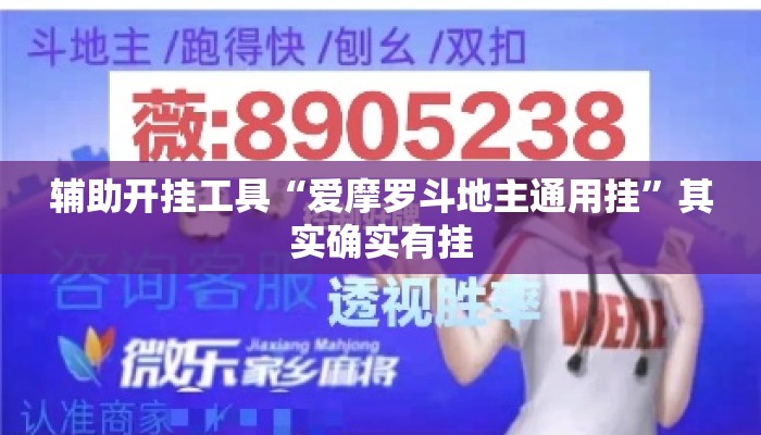 辅助开挂工具“爱摩罗斗地主通用挂”其实确实有挂