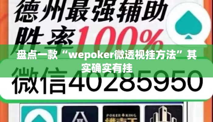 盘点一款“wepoker微透视挂方法”其实确实有挂