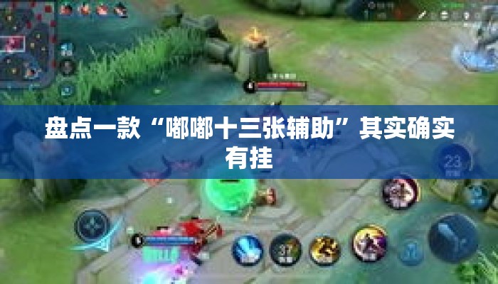 盘点一款“嘟嘟十三张辅助	”其实确实有挂