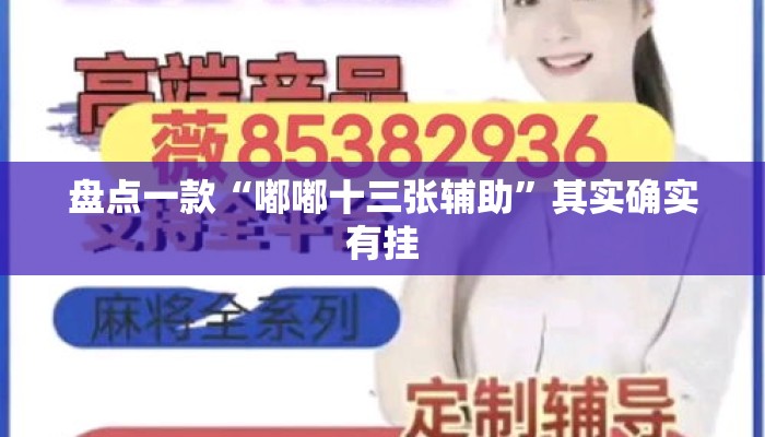 盘点一款“嘟嘟十三张辅助”其实确实有挂
