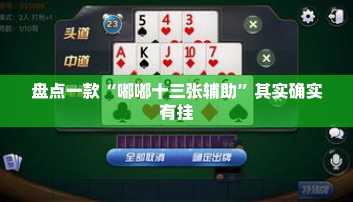 盘点一款“嘟嘟十三张辅助”其实确实有挂
