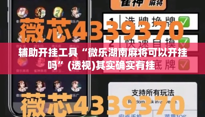 辅助开挂工具“微乐湖南麻将可以开挂吗”(透视)其实确实有挂 