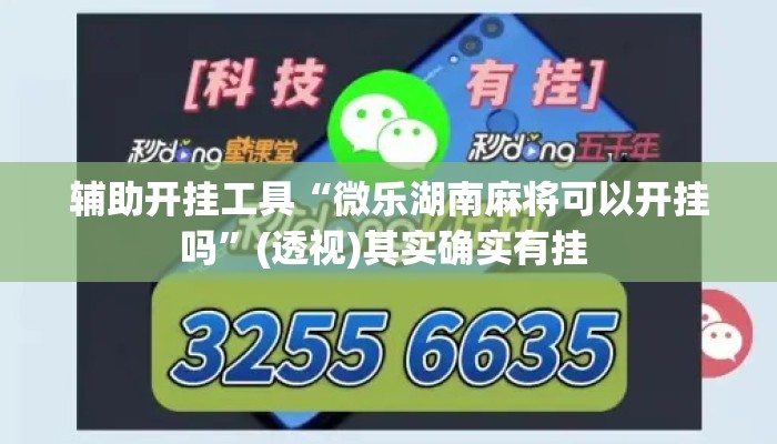 辅助开挂工具“微乐湖南麻将可以开挂吗”(透视)其实确实有挂 