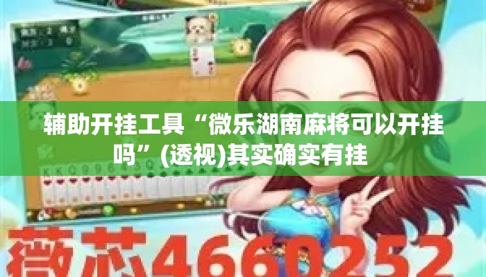 辅助开挂工具“微乐湖南麻将可以开挂吗”(透视)其实确实有挂 