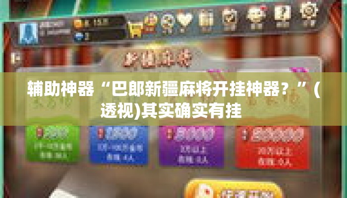 辅助神器“巴郎新疆麻将开挂神器？”(透视)其实确实有挂 