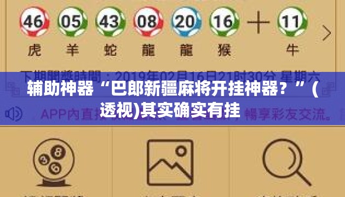 辅助神器“巴郎新疆麻将开挂神器？”(透视)其实确实有挂 