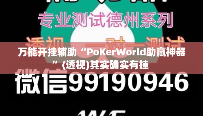 万能开挂辅助“PoKerWorld助赢神器”(透视)其实确实有挂 