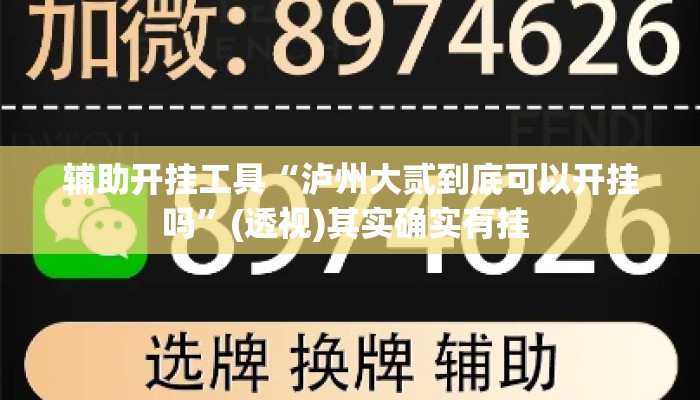 辅助开挂工具“泸州大贰到底可以开挂吗	”(透视)其实确实有挂 