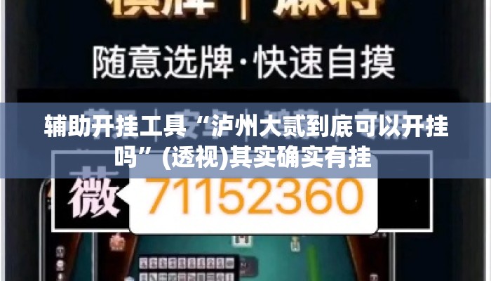辅助开挂工具“泸州大贰到底可以开挂吗”(透视)其实确实有挂 