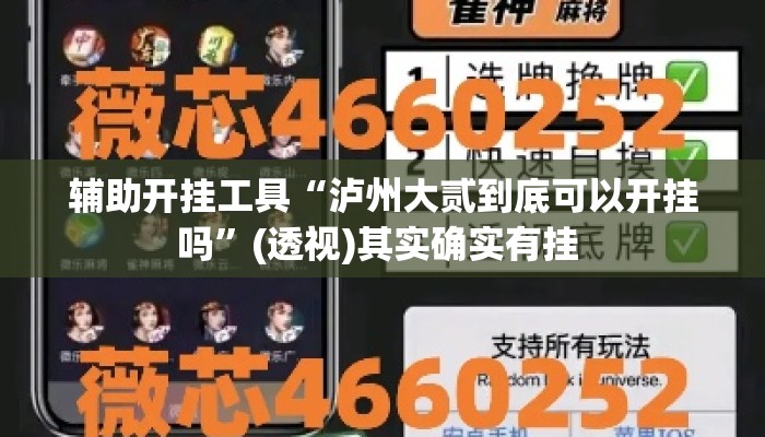 辅助开挂工具“泸州大贰到底可以开挂吗”(透视)其实确实有挂 