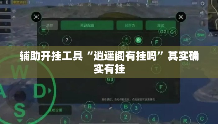辅助开挂工具“逍遥阁有挂吗	”其实确实有挂