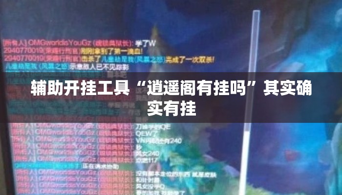 辅助开挂工具“逍遥阁有挂吗”其实确实有挂