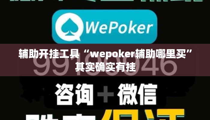辅助开挂工具“wepoker辅助哪里买”其实确实有挂