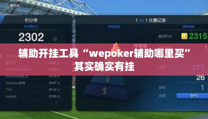 辅助开挂工具“wepoker辅助哪里买”其实确实有挂