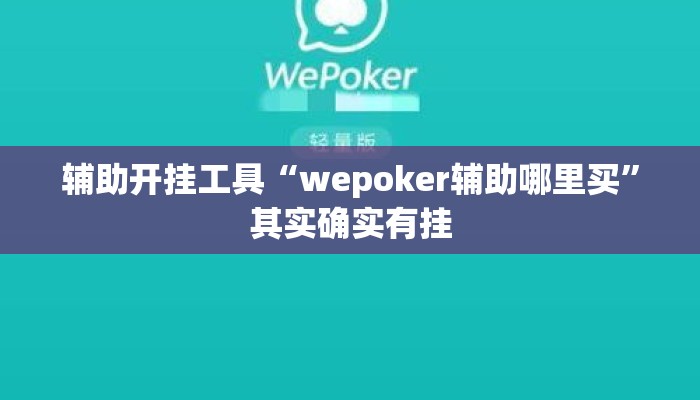 辅助开挂工具“wepoker辅助哪里买”其实确实有挂