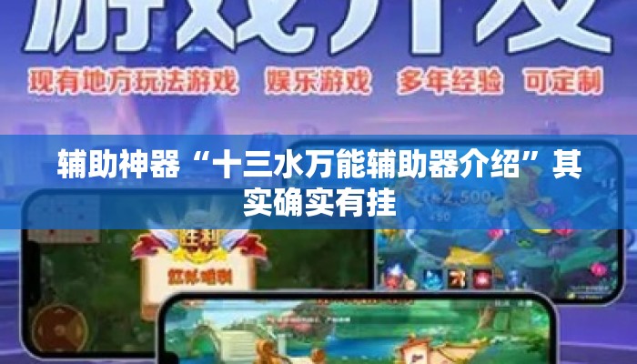 辅助神器“十三水万能辅助器介绍”其实确实有挂