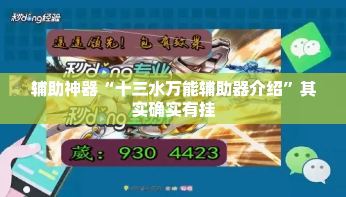 辅助神器“十三水万能辅助器介绍”其实确实有挂
