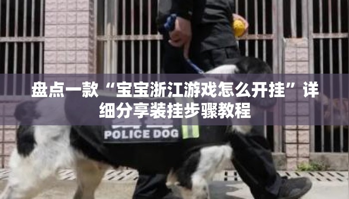 盘点一款“宝宝浙江游戏怎么开挂”详细分享装挂步骤教程