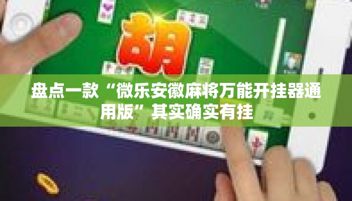 盘点一款“微乐安徽麻将万能开挂器通用版”其实确实有挂