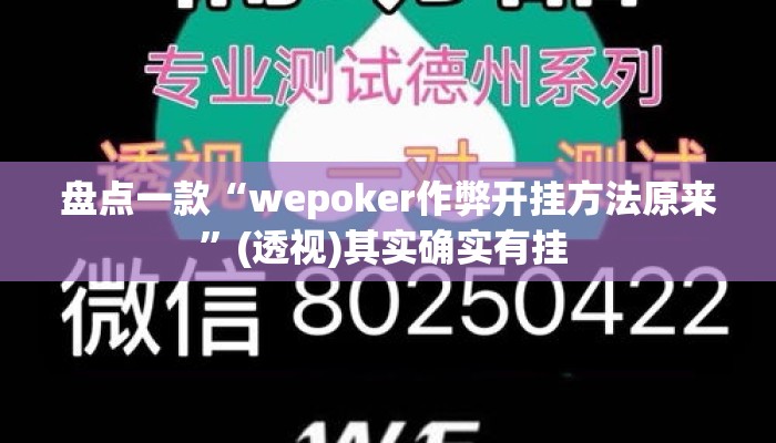 盘点一款“wepoker作弊开挂方法原来	”(透视)其实确实有挂 