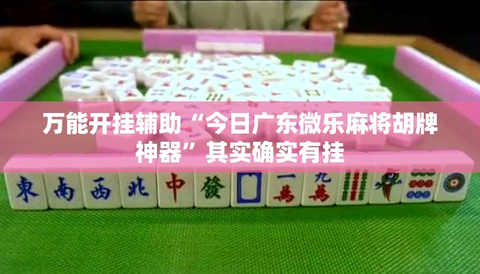 万能开挂辅助“今日广东微乐麻将胡牌神器”其实确实有挂