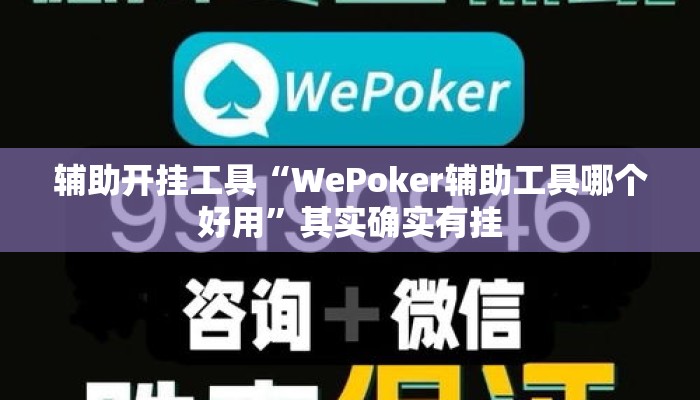 辅助开挂工具“WePoker辅助工具哪个好用	”其实确实有挂