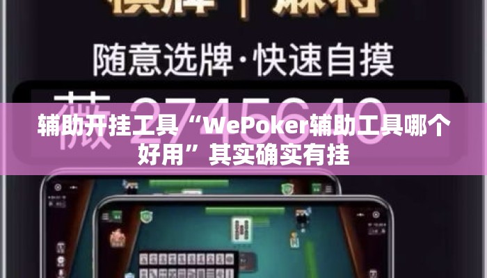 辅助开挂工具“WePoker辅助工具哪个好用”其实确实有挂
