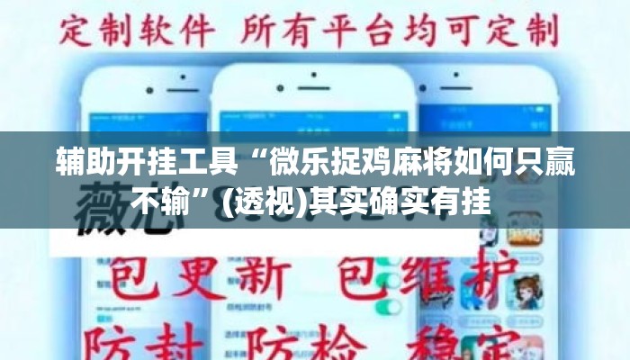 辅助开挂工具“微乐捉鸡麻将如何只赢不输	”(透视)其实确实有挂 