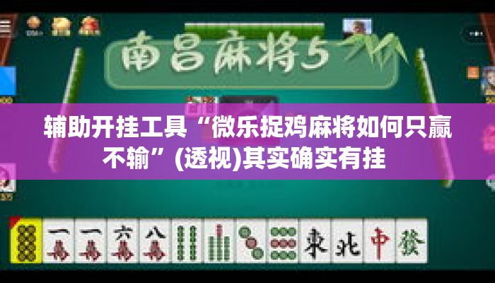 辅助开挂工具“微乐捉鸡麻将如何只赢不输”(透视)其实确实有挂 