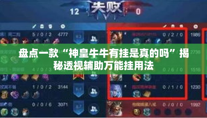 盘点一款“神皇牛牛有挂是真的吗	”揭秘透视辅助万能挂用法