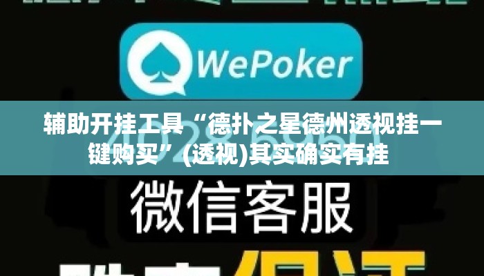 辅助开挂工具“德扑之星德州透视挂一键购买	”(透视)其实确实有挂 