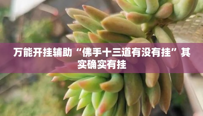 万能开挂辅助“佛手十三道有没有挂	”其实确实有挂