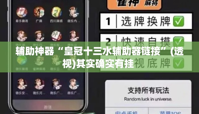 辅助神器“皇冠十三水辅助器链接”(透视)其实确实有挂 