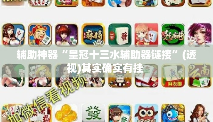辅助神器“皇冠十三水辅助器链接”(透视)其实确实有挂 
