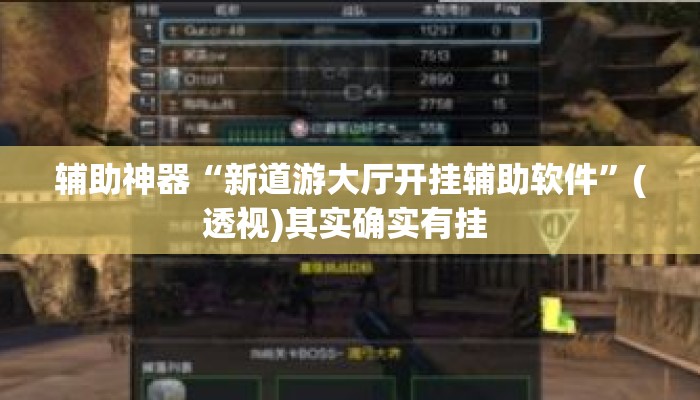 辅助神器“新道游大厅开挂辅助软件”(透视)其实确实有挂 